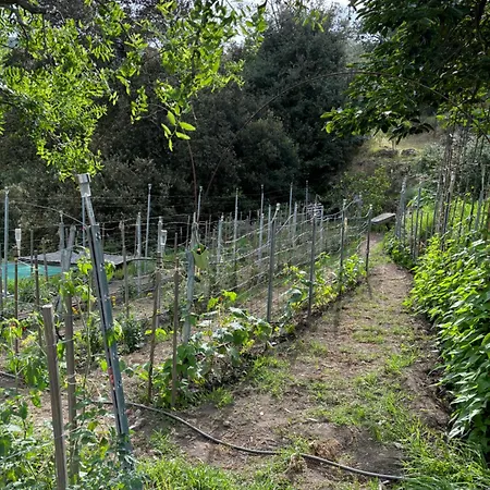 Au Coeur Du Village De Διαμέρισμα *