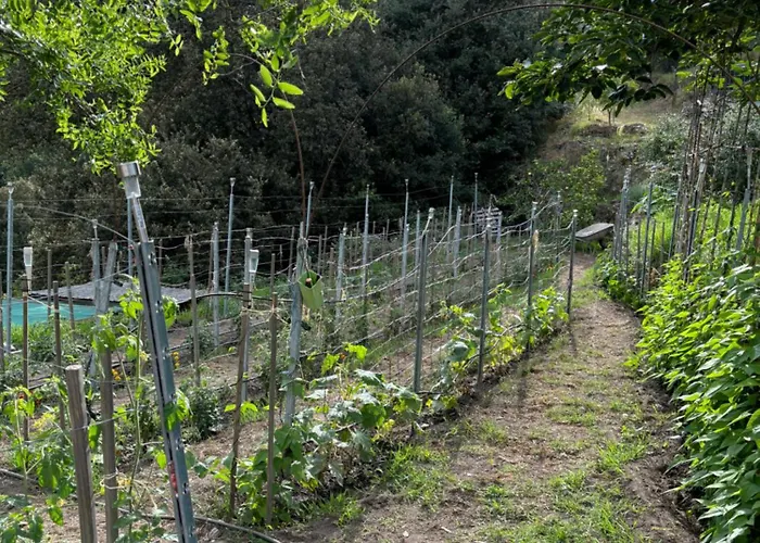 Au Coeur Du Village De דירה *